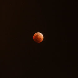 View of moon at night