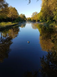 Swan swimming in lake against sky