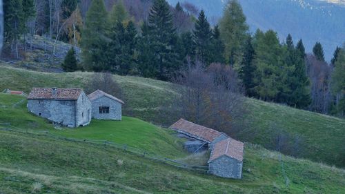 House on field