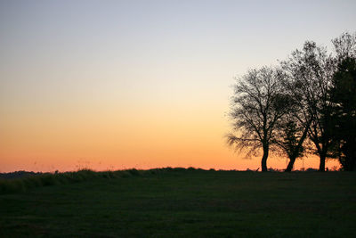 Silhouette tree on field against clear sky