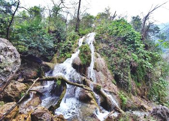 Scenic view of waterfall in forest