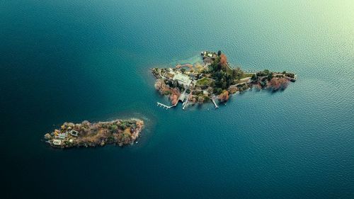 High angle view of birds in sea