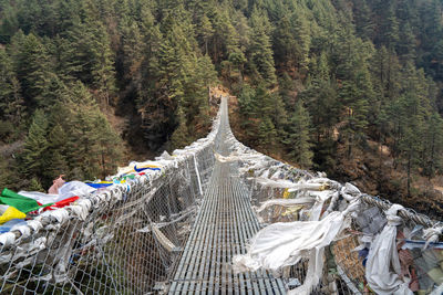 Panoramic shot of footbridge amidst trees in forest