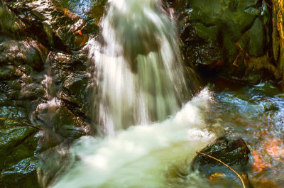 View of waterfall in forest