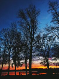 Bare trees against sky at sunset