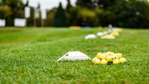 Close-up of yellow ball on field