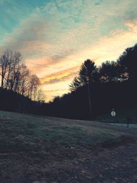 Trees against sky at sunset
