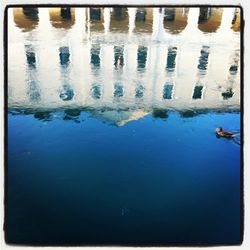 Reflection of trees in water