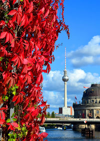 View of red bell tower in city