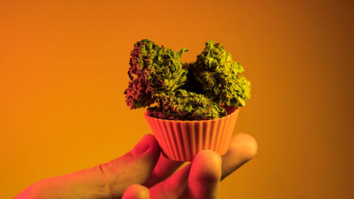 Close-up of hand holding ice cream against orange background