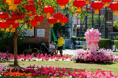 Pink flowering plants in front of building