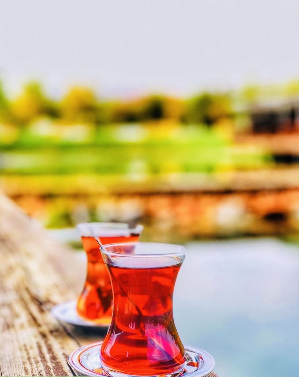 CLOSE-UP OF TEA ON TABLE