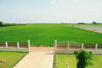 Scenic view of field against sky