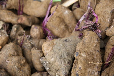 Full frame shot of rocks for sale