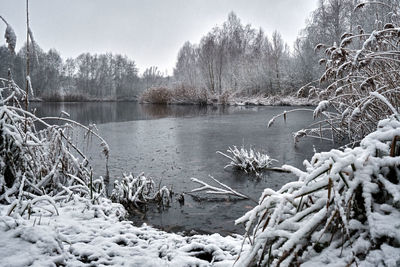 Frozen lake by trees against sky