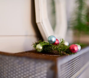 Close-up of plant on window at home