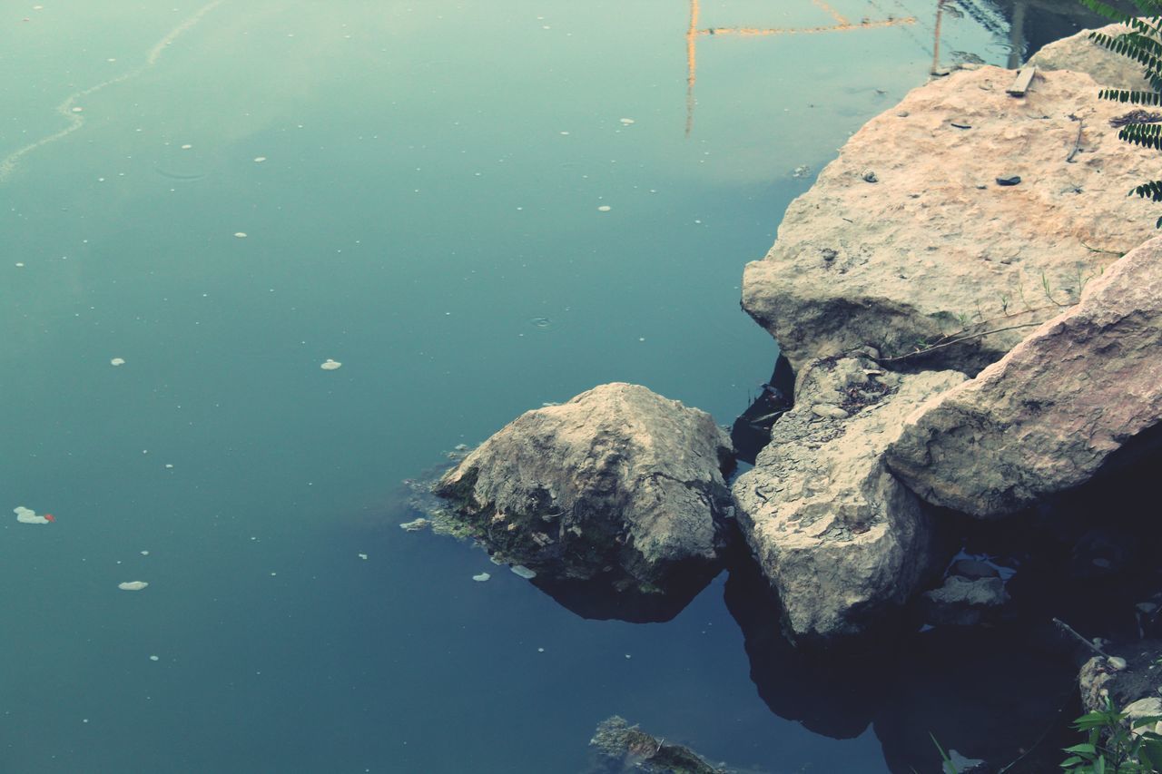 HIGH ANGLE VIEW OF TURTLE ON ROCK IN LAKE