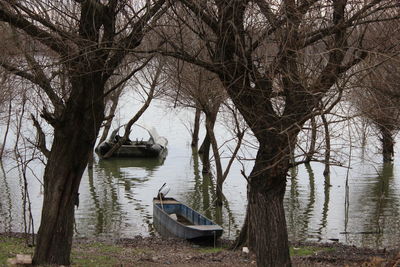 Boats in lake