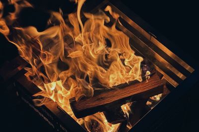 Close-up of bonfire at night