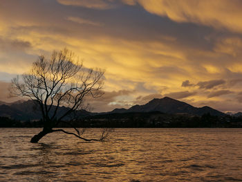 Bare tree by lake against sky during sunset