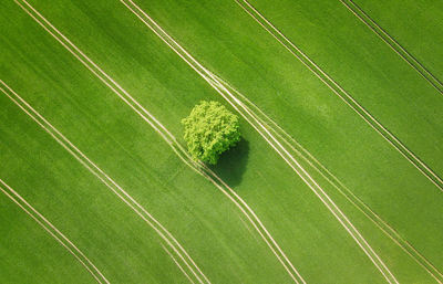 High angle view of soccer field