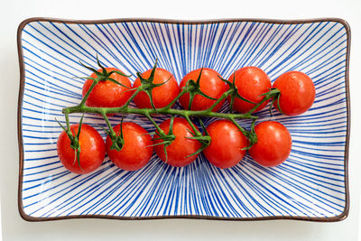 High angle view of tomatoes against white background