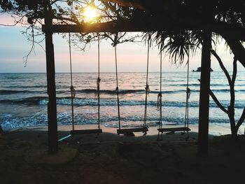 Empty rope swings hanging at beach during sunset