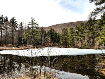 Trees by lake against sky during winter
