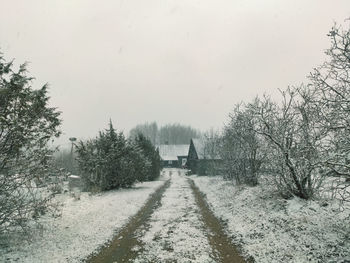 Road amidst trees against sky during winter