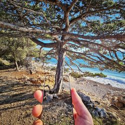 Midsection of person by tree against plants