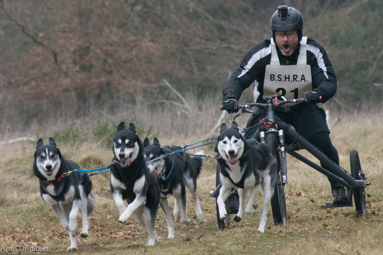 PEOPLE WITH DOG ON THE BACKGROUND