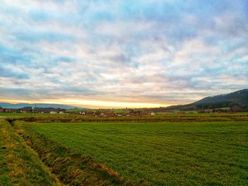 Scenic view of agricultural field against sky during sunset