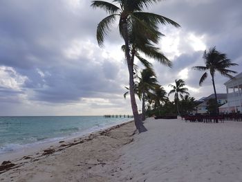 Palm trees on beach against sky