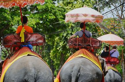 Rear view of people riding elephants