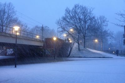 Bare trees in city at night during winter