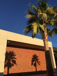 Low angle view of palm tree against clear sky