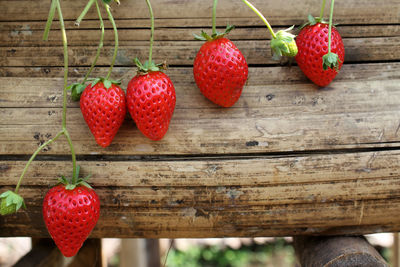 Close-up of strawberries