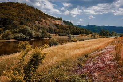 Scenic view of field against sky