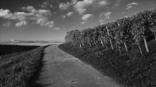 Road passing through landscape