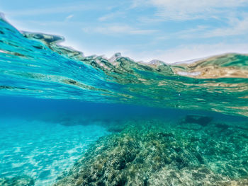 Scenic view of sea against sky