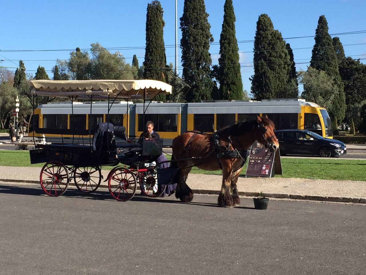 HORSE CART ON ROAD