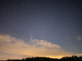 Low angle view of silhouette trees against sky at night