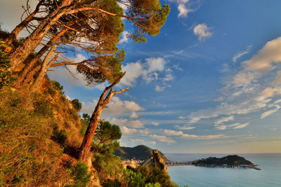 Trees by sea against sky at sunset