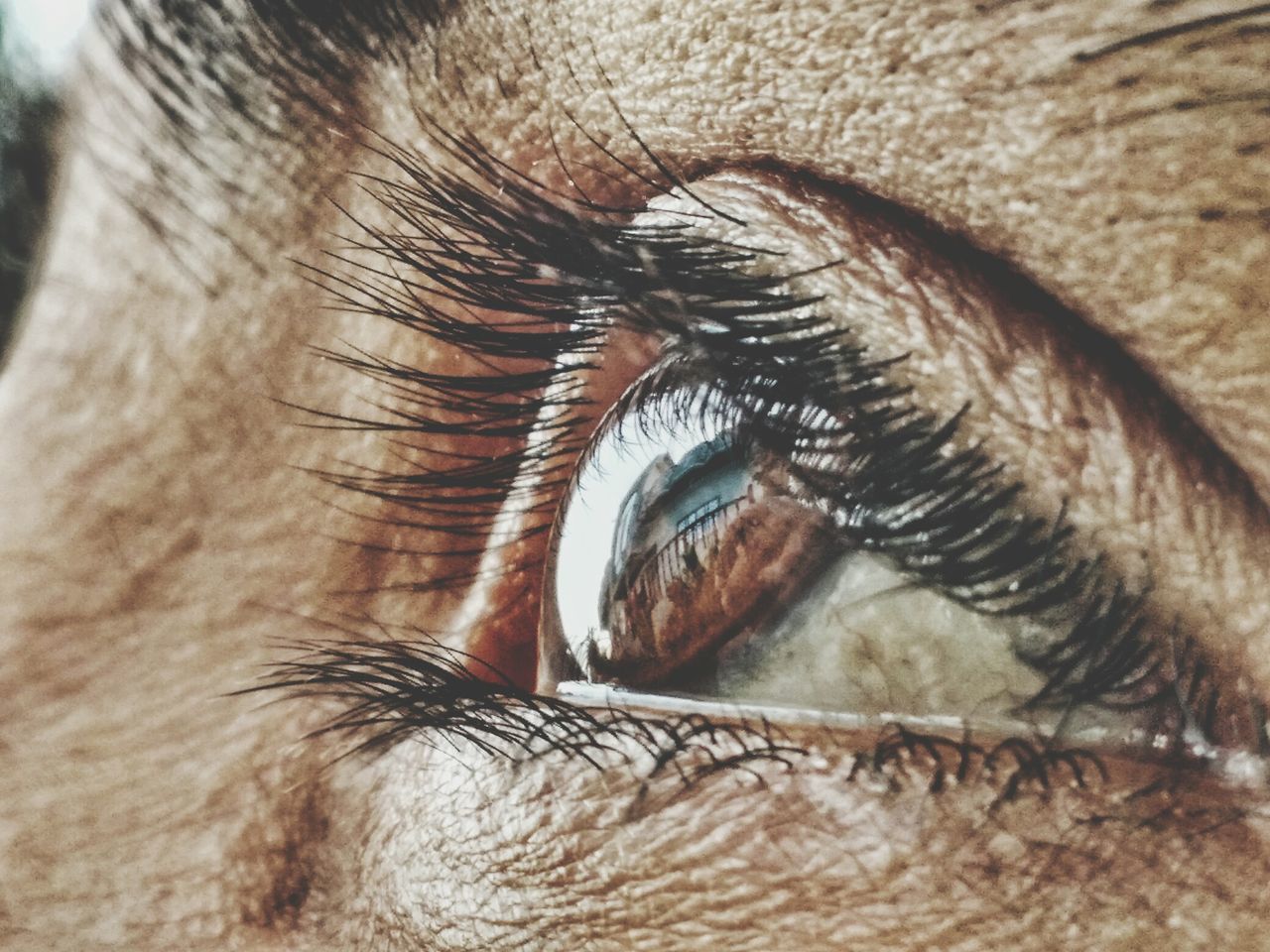 close-up, part of, one animal, eyesight, extreme close-up, sensory perception, human eye, eyelash, animal themes, full frame, animal body part, detail, human skin, extreme close up, backgrounds, macro, animal eye