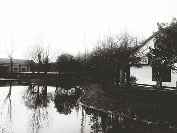 Reflection of trees in water