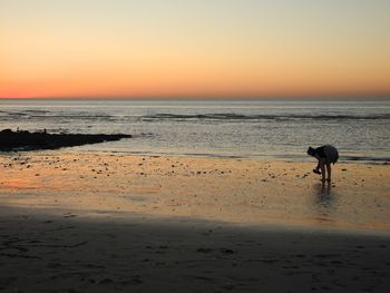 Silhouette man on beach against sky during sunset