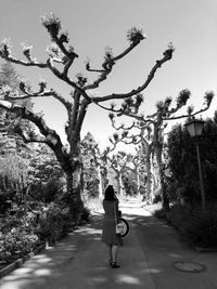 Rear view of woman walking on road amidst trees