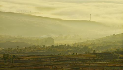 Scenic view of agricultural field against sky