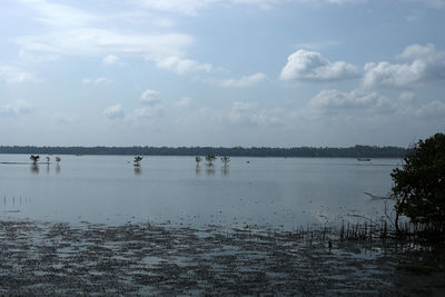 water