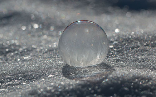 Frozen soap bubble resembles a spherical ball on a chilly day